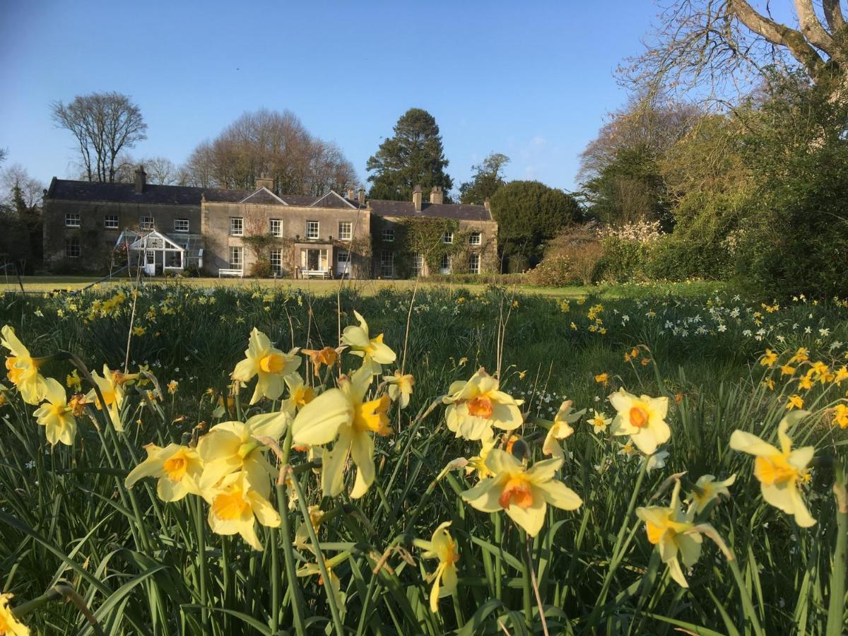 O'Harabrook Country House Ballymoney Extérieur photo