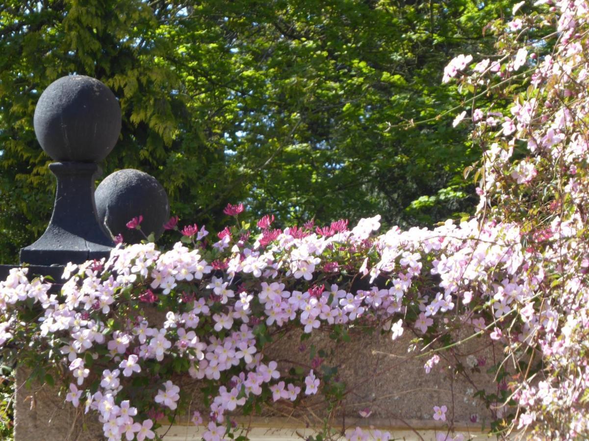 O'Harabrook Country House Ballymoney Extérieur photo