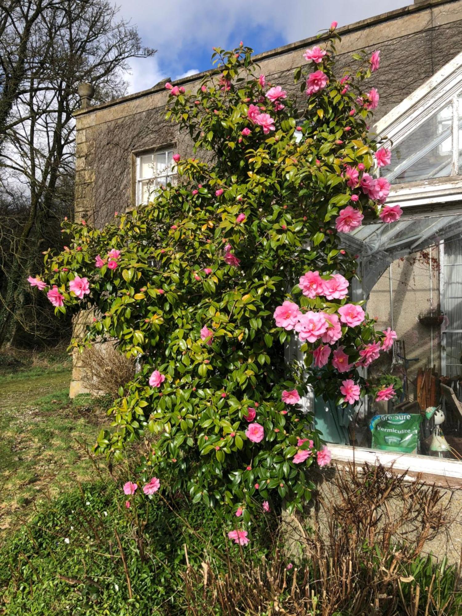 O'Harabrook Country House Ballymoney Extérieur photo